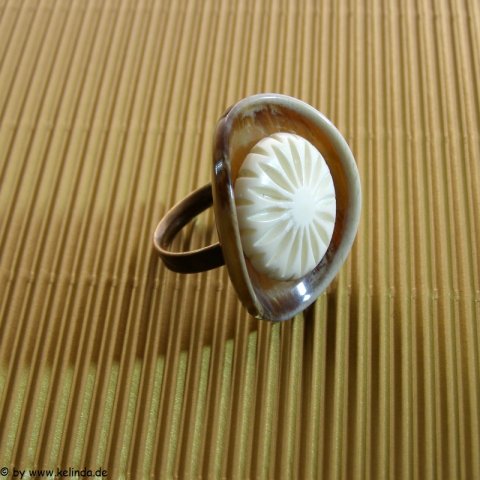 2_20_20130211_1399207876