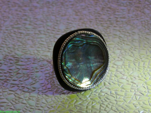 pa141029_20121014_1323276557