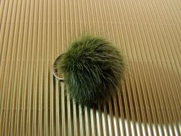 2_8_20130211_1699066740